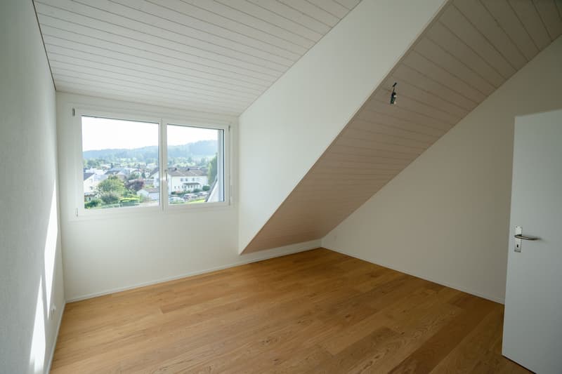Grosse neue Dachwohnung an zentraler Lage mit Bergsicht, Garage inbegriffen (8)