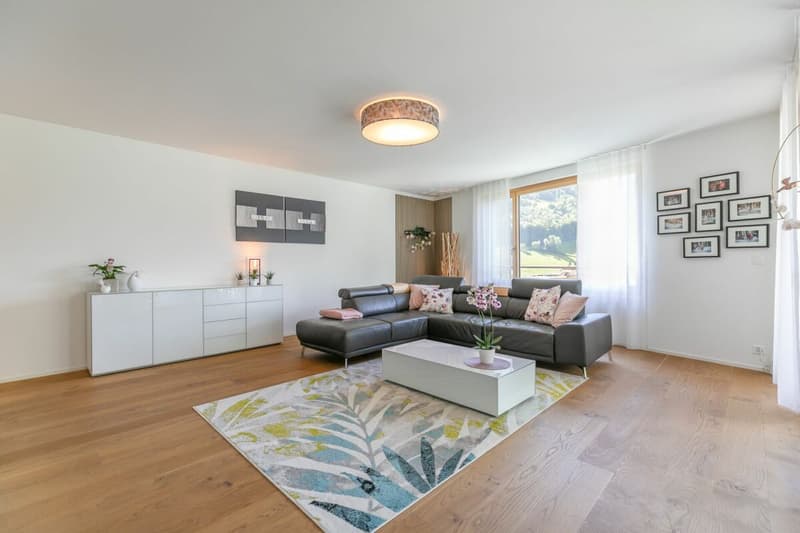 Appartement 4,5 pièces avec vue panoramique imprenable (4)