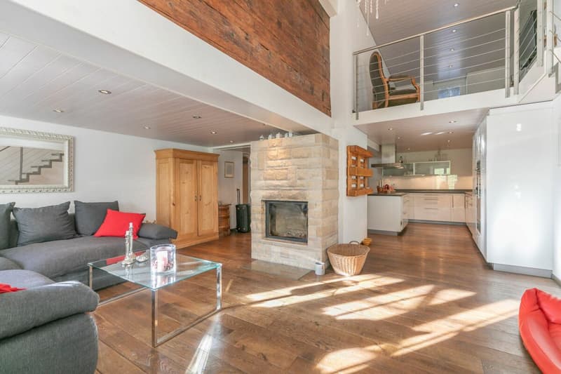 7.5-room single-family house with surrounding land (2)