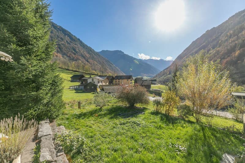 7.5-room single-family house with surrounding land (14)