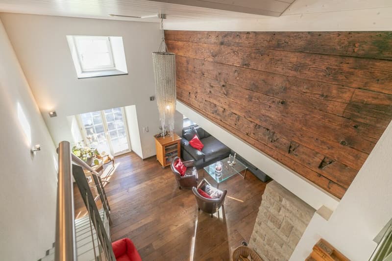 7.5-room single-family house with surrounding land (4)