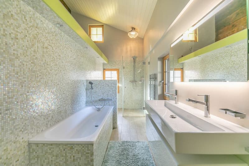 7.5-room single-family house with surrounding land (8)