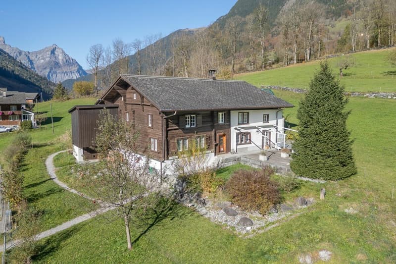 7.5-room single-family house with surrounding land (1)