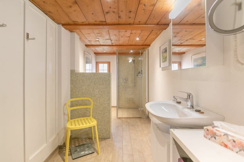 7.5-room single-family house with surrounding land (7)