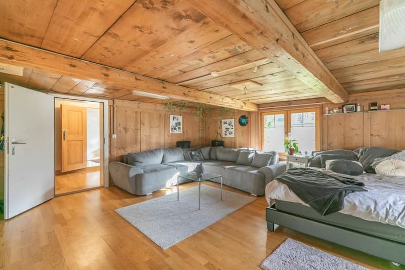 7.5-room single-family house with surrounding land (9)