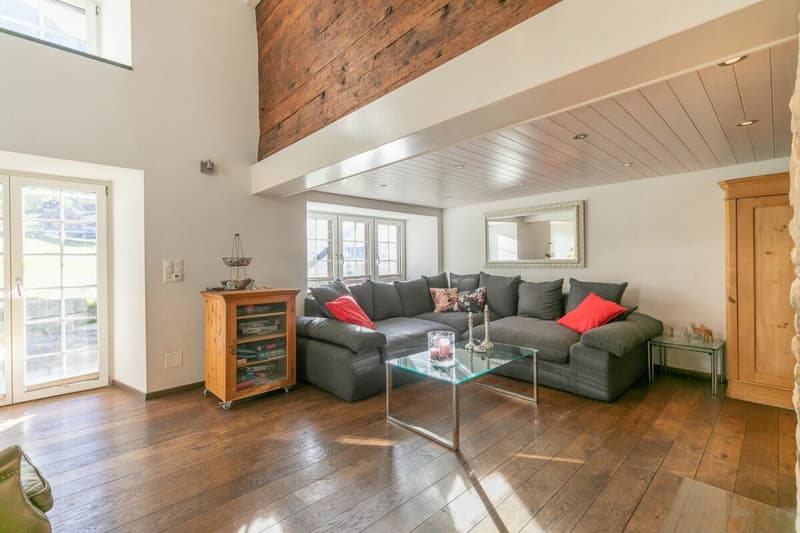 7.5-room single-family house with surrounding land (3)