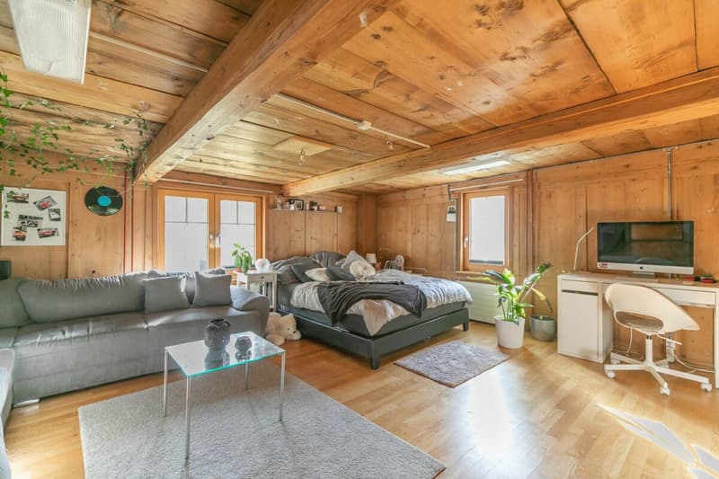7.5-room single-family house with surrounding land (10)