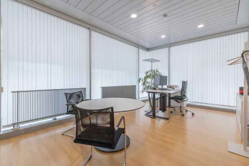 Commercial spaces in the center of Glarus (8)