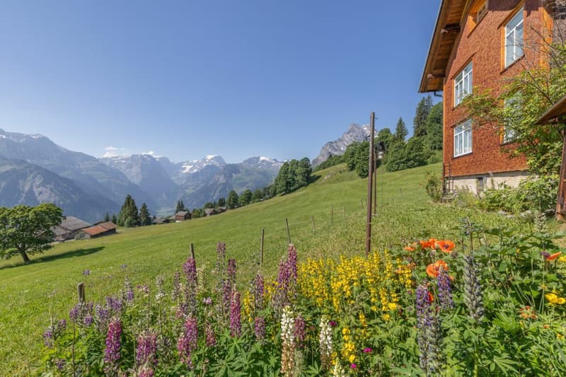 6.5-Room Holiday Home in Idyllic Panoramic Location (15)