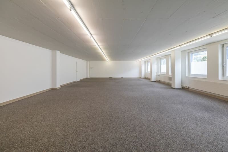 Büro- und Gewerbeflächen nahe Flugplatz Mollis (10)
