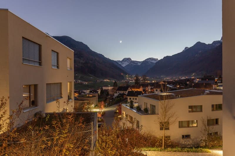 4.5-Zi-Wohnung mit unverbaubarer Weitsicht (12)
