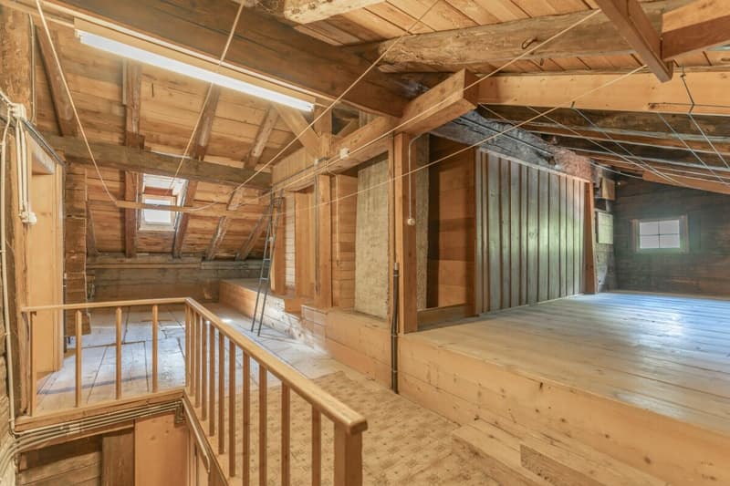 Doppelhaus mit Entwicklungspotenzial (9)