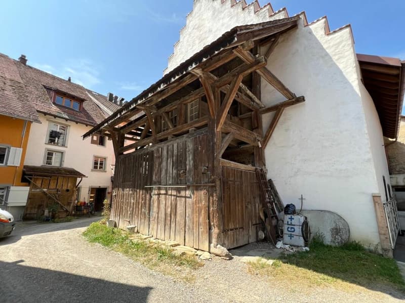 Unique Multi-Family House - Ideal as an Investment or for Families (11)