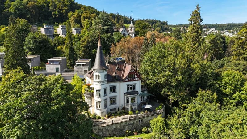 Villa Sonnegg - Exclusive Living with Historic Character (1)