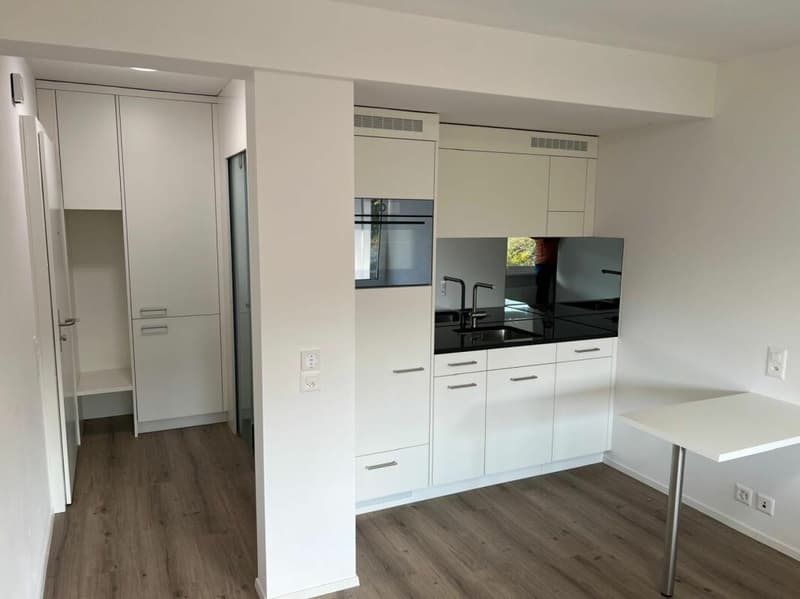 Exklusiver Erstbezug: Studio im Park (1)