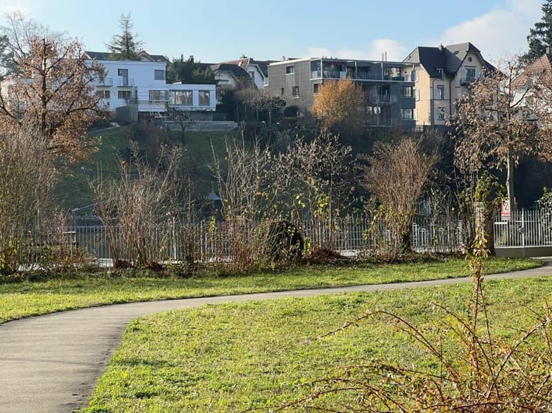 Exklusiver Erstbezug: Studio im Park (8)
