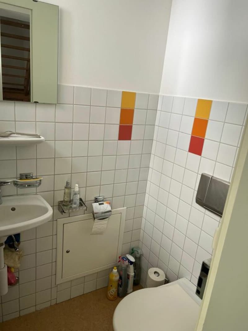Vielseitiges Büro/Praxis/Atelier in mitten der Schaffhauser Altstadt (6)