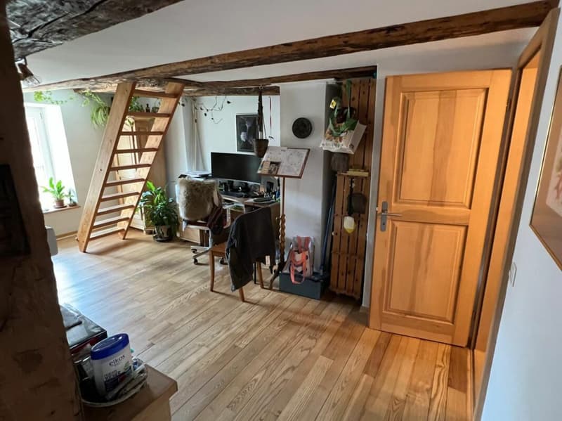 Wohnen & Vermieten im Grünen - 3-Familienhaus mit Charme (6)