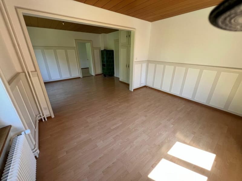 Paradies für Hobbygärtner - charmante 3.5-Zimmer-Wohnung an Top-Lage (7)