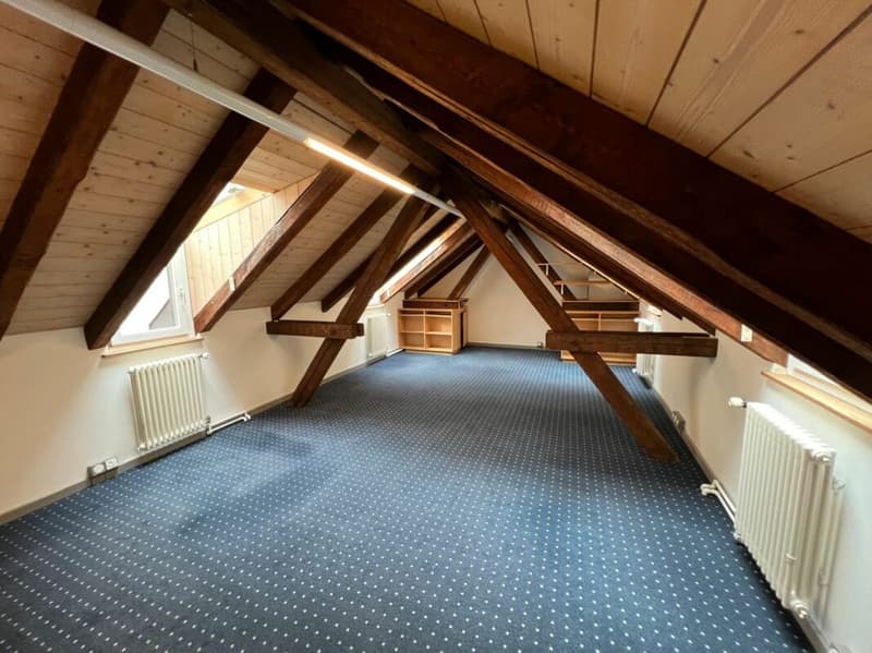Vielseitiges Büro/Praxis/Atelier in mitten der Schaffhauser Altstadt (2)