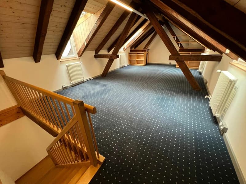 Vielseitiges Büro/Praxis/Atelier in mitten der Schaffhauser Altstadt (5)