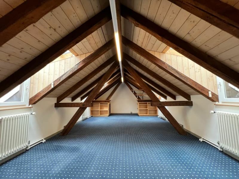 Vielseitiges Büro/Praxis/Atelier in mitten der Schaffhauser Altstadt (3)