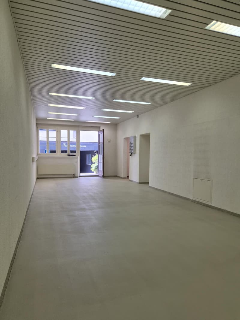 Freely divisible commercial space with additional storage room 48m2 in the basement (5)