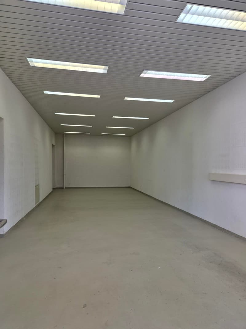 Freely divisible commercial space with additional storage room 48m2 in the basement (4)