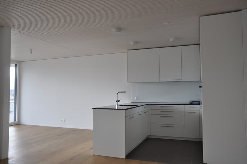 Bright 4.5-room attic apartment (3)