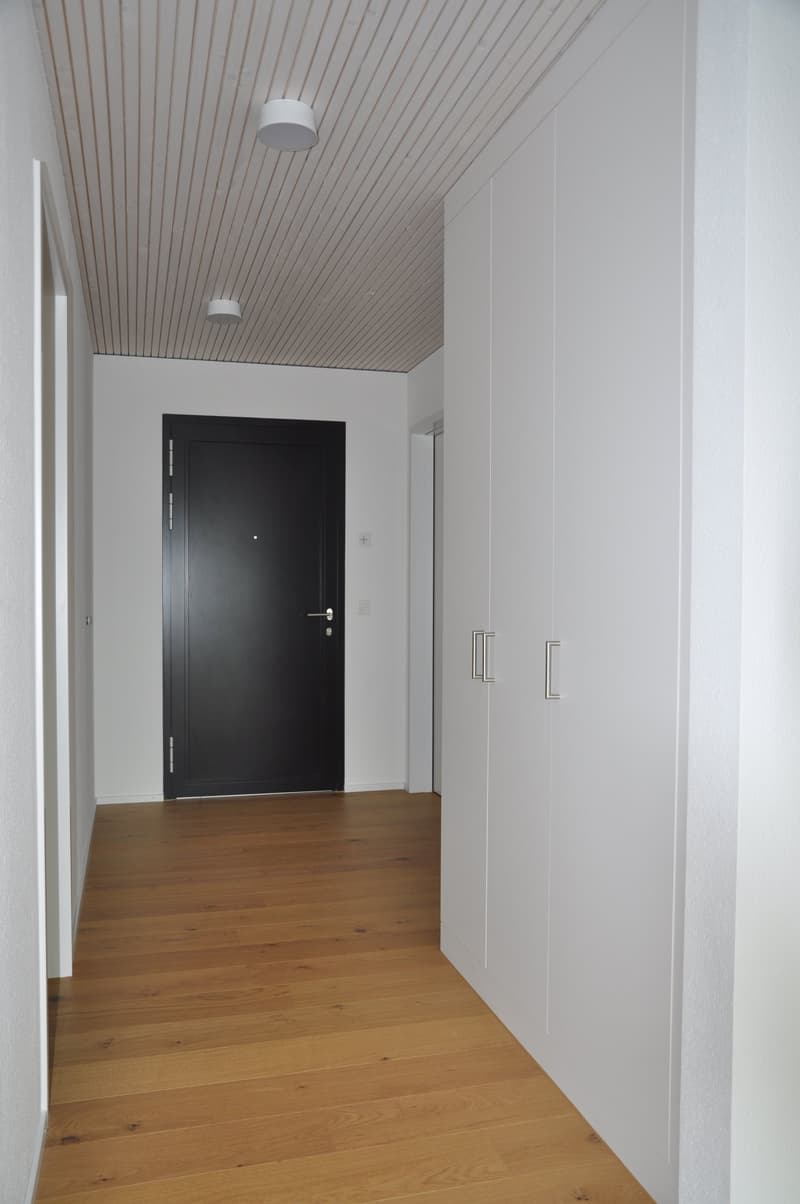 Bright 4.5-room attic apartment (6)