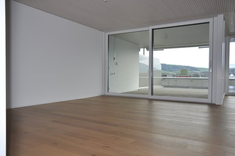Bright 4.5-room attic apartment (5)