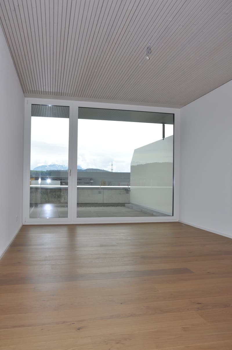 Bright 4.5-room attic apartment (7)