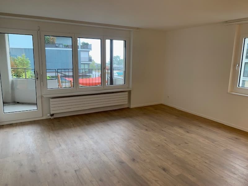 Attraktive Kleinwohnung über Zug (1)
