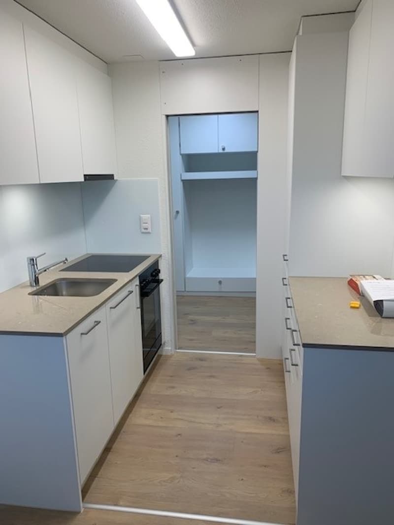 Attraktive Kleinwohnung über Zug (4)