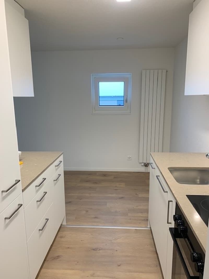 Attraktive Kleinwohnung über Zug (2)
