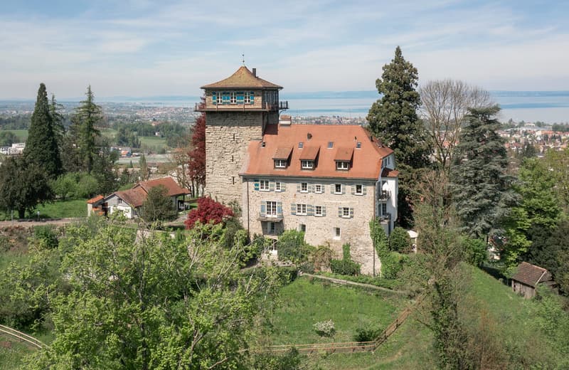 Schloss in St. Gallen – Repräsentatives, totalsaniertes Schloss mit See- und Weitsicht (1)