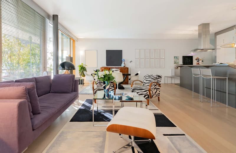 modern interior, large windows, glass table, zebra chairs, modern sofa, kitchen island