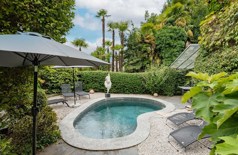 Small outdoor pool with lounge chairs, umbrellas, and plants