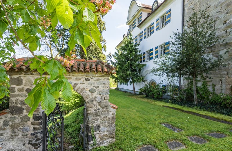 Castello a St. Gallen – Rappresentativo, castello totalmente ristrutturato con vista sul lago e sulla distanza (11)
