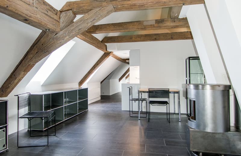 Castello a St. Gallen – Rappresentativo, castello totalmente ristrutturato con vista sul lago e sulla distanza (9)