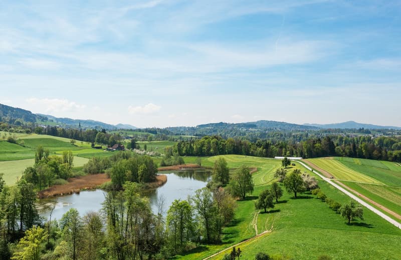 Castello a St. Gallen – Rappresentativo, castello totalmente ristrutturato con vista sul lago e sulla distanza (6)