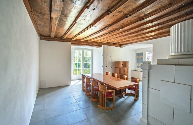 Castello a St. Gallen – Rappresentativo, castello totalmente ristrutturato con vista sul lago e sulla distanza (4)
