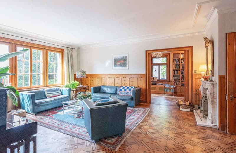 fireplace, blue sofa, carpet, wooden floor, windows, lamp