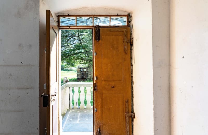 Wooden door with glass panels, leading to a balcony or terrace overlooking a green, forested area