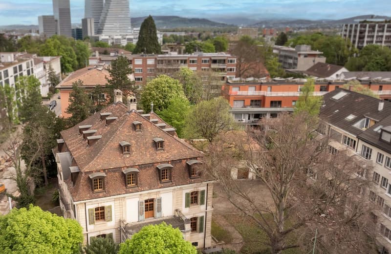 Historic, Neo-Baroque Villa/Commercial Building in an Exclusive Location in Gellert (12)
