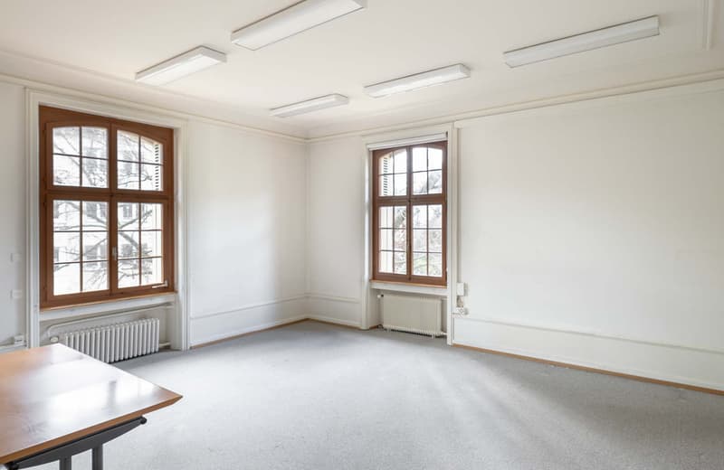 Historic, Neo-Baroque Villa/Commercial Building in an Exclusive Location in Gellert (7)