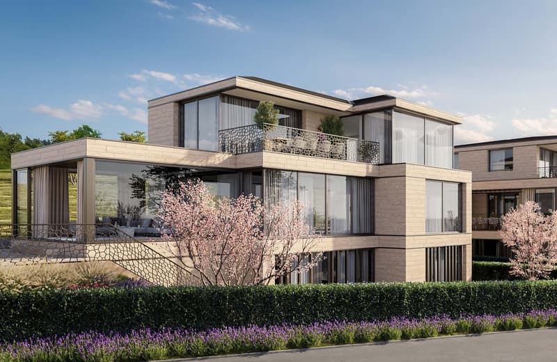 Villa de luxe neuve dans l'une des 3 communes les plus avantageuses sur le plan fiscal de Lucerne (3)