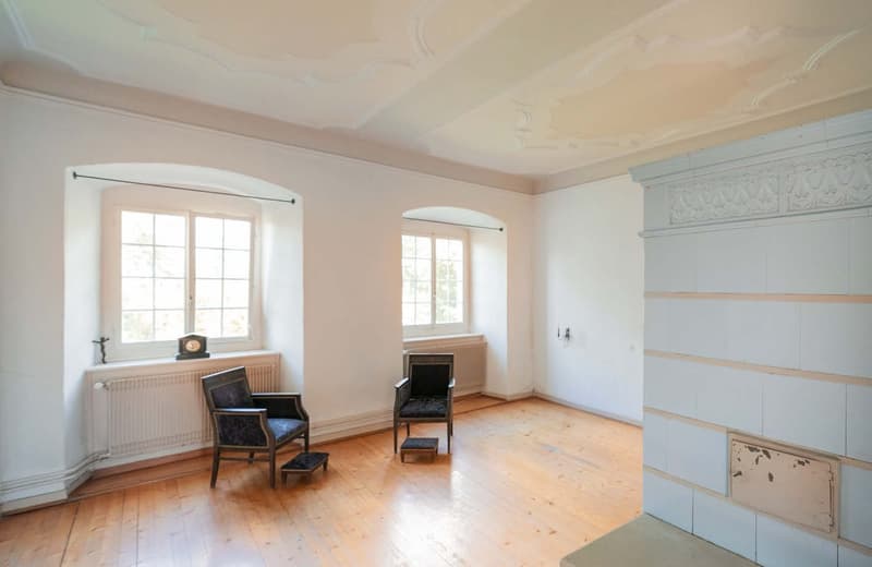 empty room, hardwood floor, white walls, fireplace, arched windows, arched doorways, radiators, clock on window sill