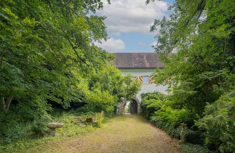 White building with arched entrance, located on gravel pathway surrounded by greenery and bushes, yellow shutters on some windows, rustic stone arch entrance, garden with fountain, mature trees