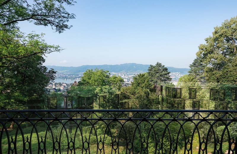 iron railing, grassy field, dense tree coverage, distant lake, mountain range